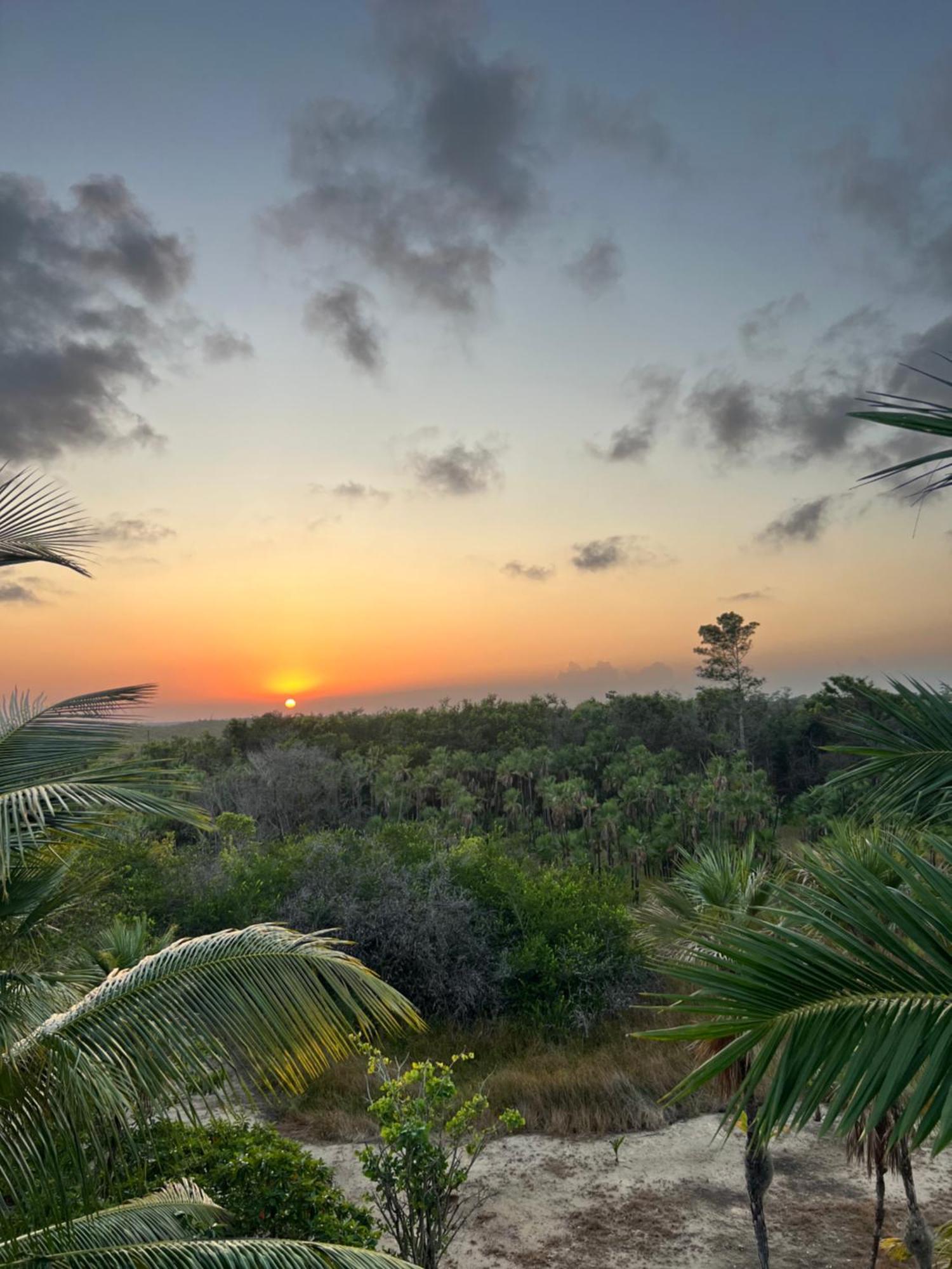 Sabal Beach Punta Gorda Exteriér fotografie