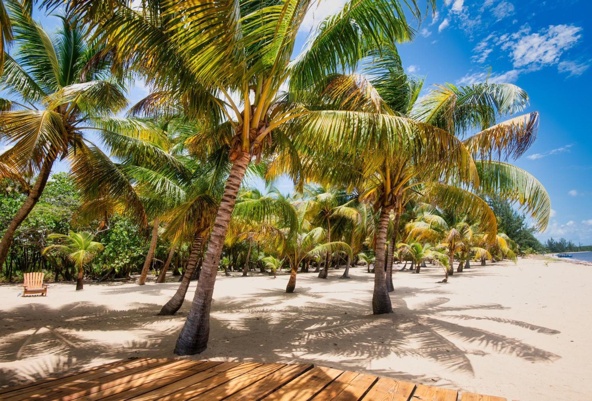 Sabal Beach Punta Gorda Exteriér fotografie